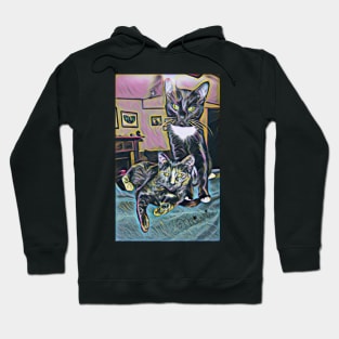 Two Special Kitties Hoodie